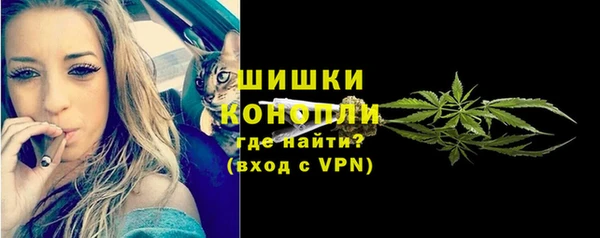 амф Новодвинск