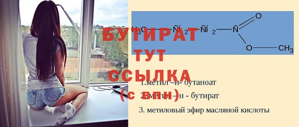твердый Новозыбков