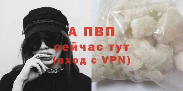 амф Новодвинск