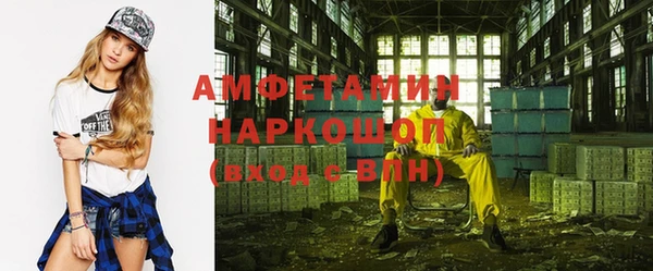 твердый Новозыбков