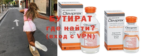 твердый Новозыбков